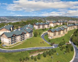 Image Description to Come