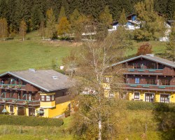 Image Description to Come