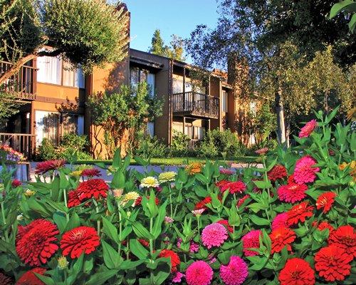 Sapphire Resorts @ San Diego Country Estates Image