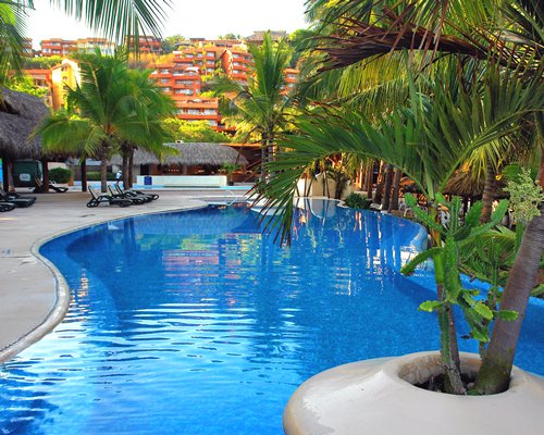 An outdoor swimming pool with chaise lounge chairs and palm trees.