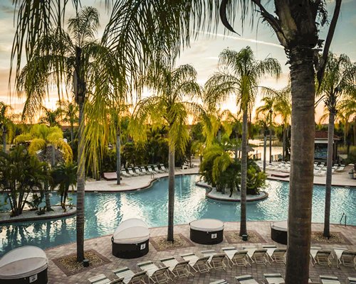 An outdoor swimming pool with chaise lounge chairs alongside trees.