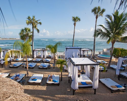 View of the beach beds with trees alongside the ocean.