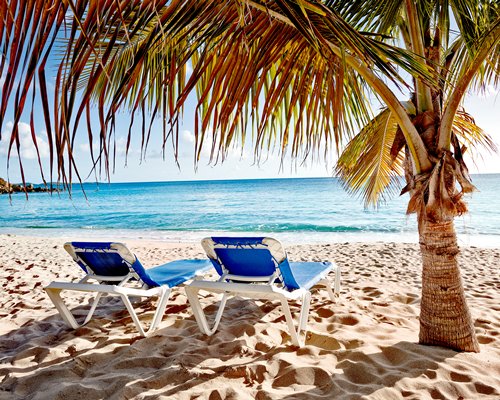 Bluebeard's Beach Club