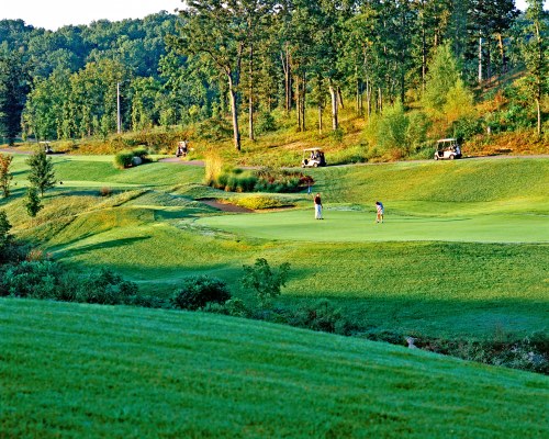 Wyndham Branson at the Falls