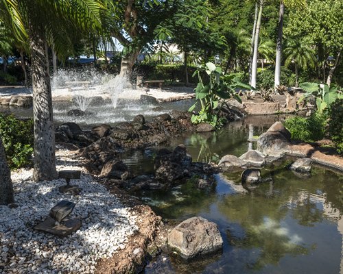 The Sands Of Kahana