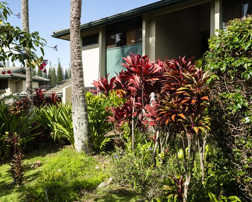 The Gardens at West Maui