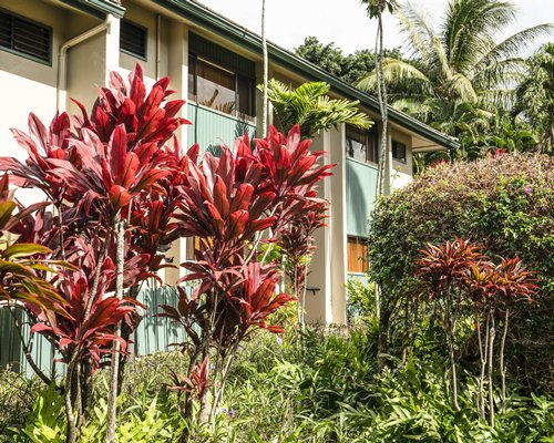 The Gardens at West Maui