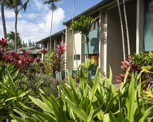 The Gardens at West Maui