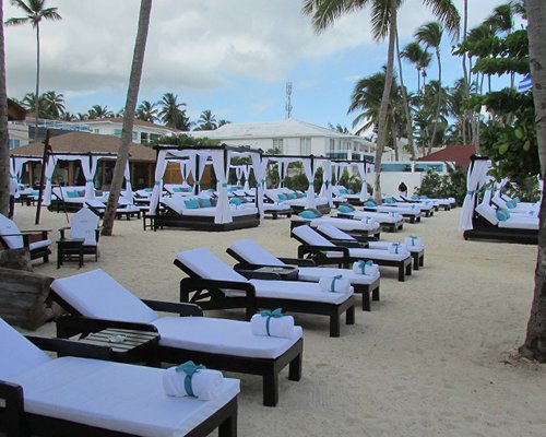 View of the beach with the coconut trees.