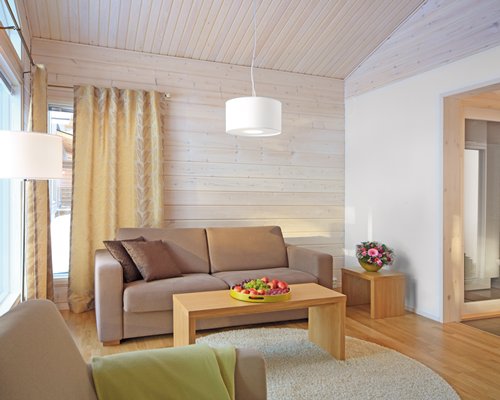 A well furnished living room with a pull out sofa.
