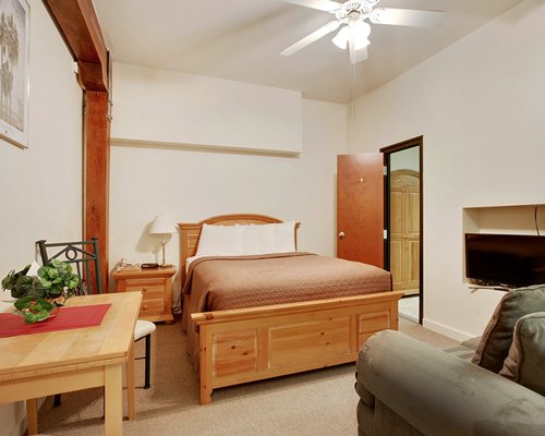 A well furnished bedroom with a pull out sofa.