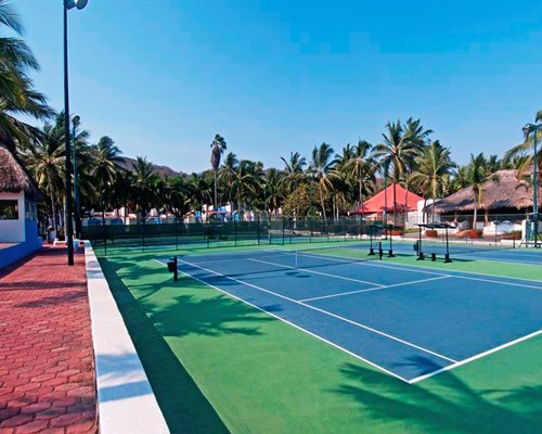 View of two outdoor tennis courts with coconut trees.