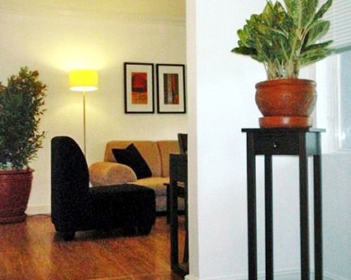 A well furnished living room with a pull out sofa and potted plants.