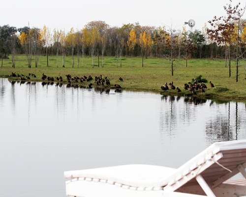 Pampas de Areco Resort do Campo