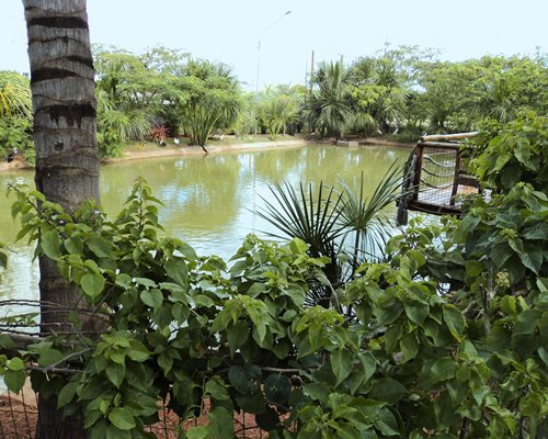 Exterior view of the water outside of the resort.