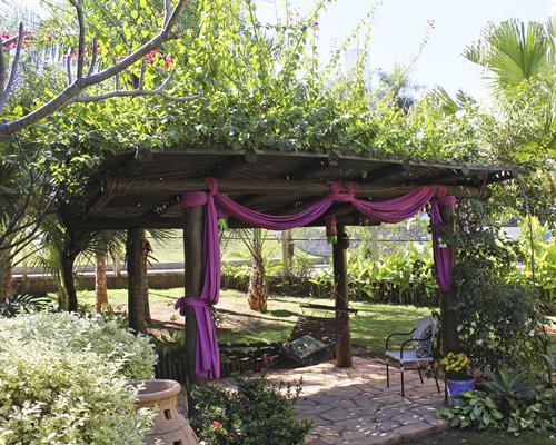 Scenic view of a pergola.