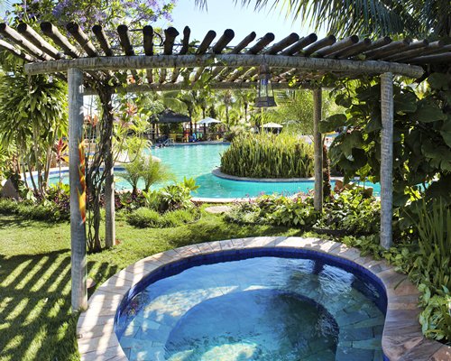 An outdoor pool with pergola surrounded by trees.