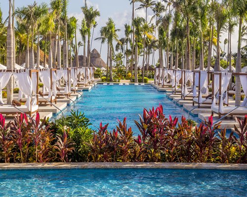 secrets royal beach punta cana deluxe tropical view secrets royal beach punta cana deluxe tropical view