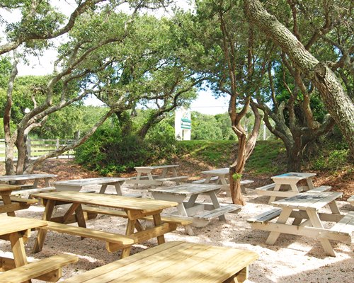 Peppertree Atlantic Beach II