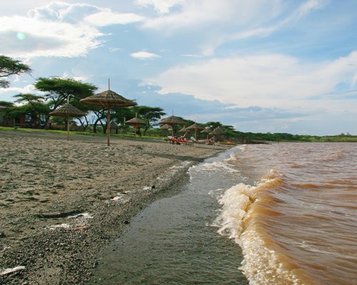 View of the beach with chaise lounge chairs and sunshades.