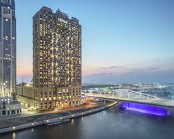 Image Description to Come