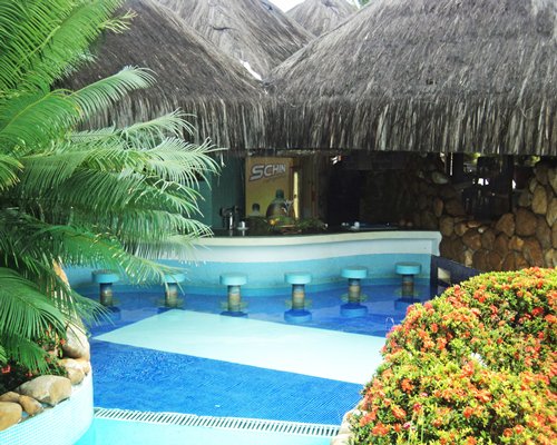 A view of the poolside bar surrounded by shrubs.