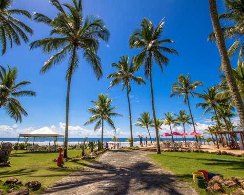 Scenic pathway with patio chairs sunshades and palm trees leading to the beach.