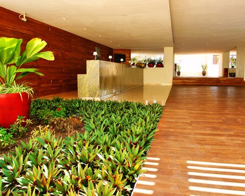 Interior view of Emporio Mazatlan with a pathway and maintained plants.