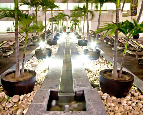 View of pebble stone and potted plants at night.