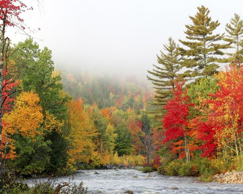 Riverwalk at Loon Mountain