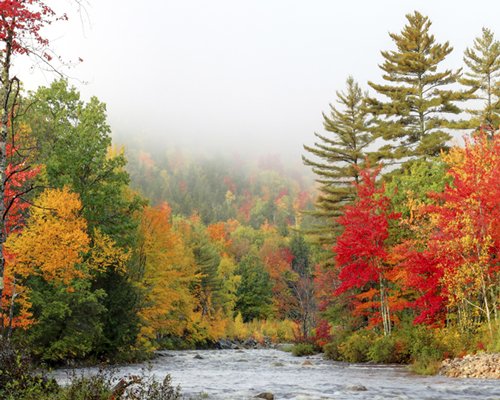 Riverwalk at Loon Mountain