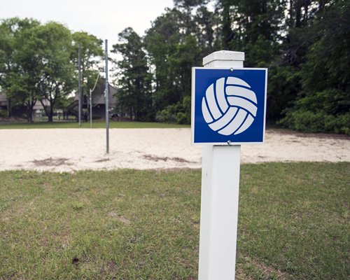 A scenic outdoor volleyball court surrounded by trees.