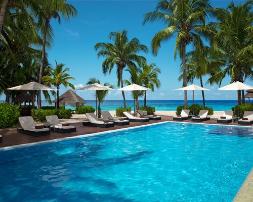 A view of chaise lounge chairs and coconut trees facing the ocean.
