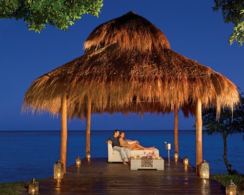 A view of chaise lounge chairs and coconut trees alongside the sea.