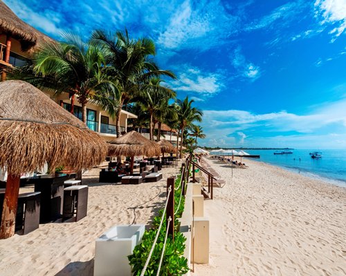 Thatched covered outdoor lounge area with palm trees alongside the beach.