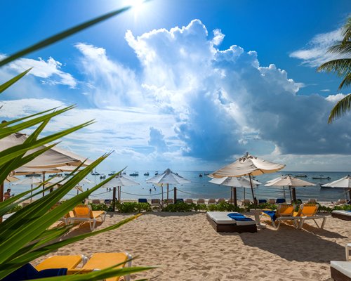 Beach view of chaise lounge chairs and sunshades facing the ocean.