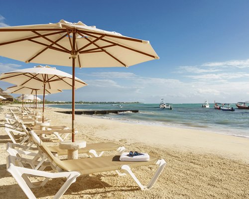 View of chaise lounge chairs and sunshades facing the ocean.