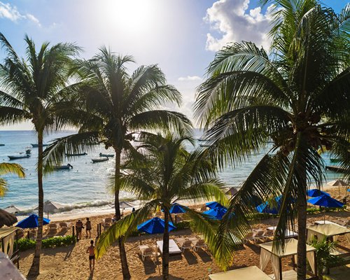 View of chaise lounge chairs and sunshades facing the beach.