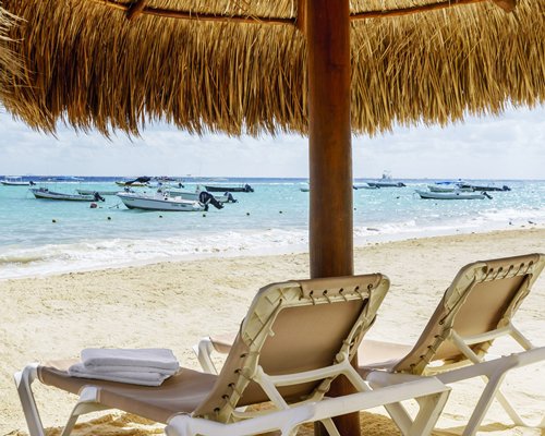View of chaise lounge chairs and thatched sunshade facing the ocean.