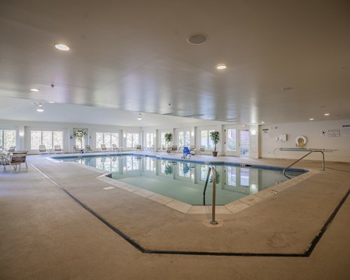 An indoor swimming pool with chaise lounge chairs and potted plants.