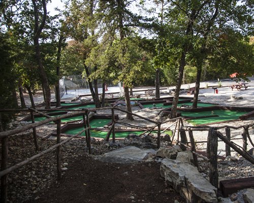 View of miniature golf courses surrounded by trees.