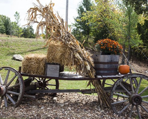 A carriage alongside trees.