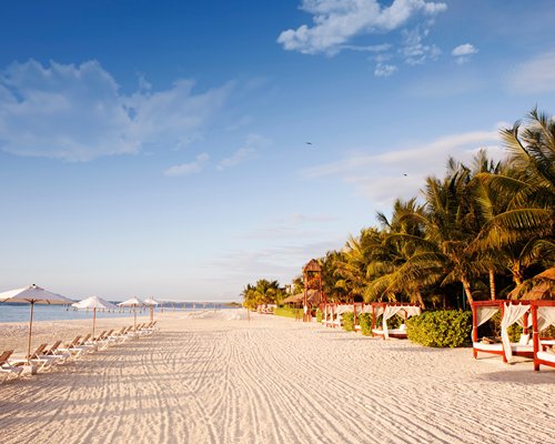 View of the beach with chaise lounge chairs sunshades beach beds and palm trees.