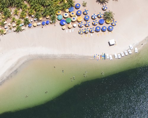 An aerial view of the beach with sunshades and trees.