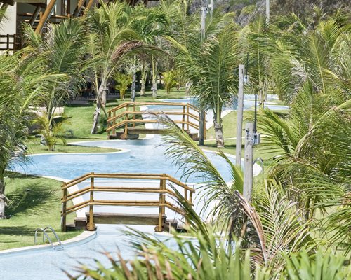 An outdoor swimming pool with bridges surrounded by trees.