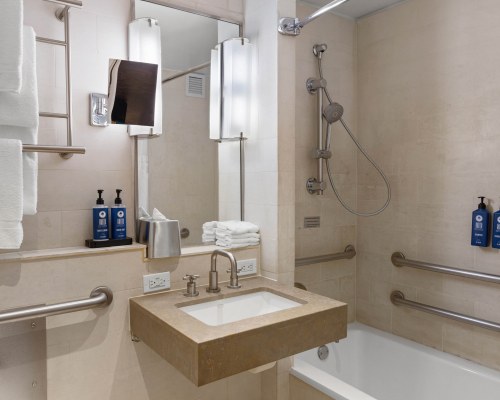 Image Description to Come