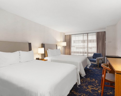 Image Description to Come