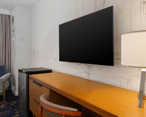 Image Description to Come