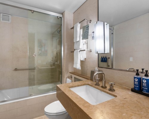 Image Description to Come