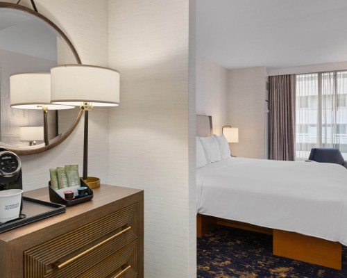 Image Description to Come